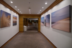 art place 6