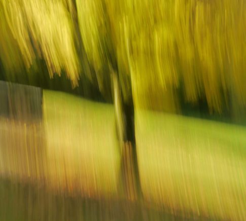 herbstbaum gaisalp