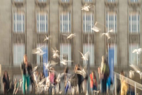 hamburg moewen vor kunstforum