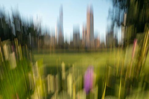 new york central park morning green