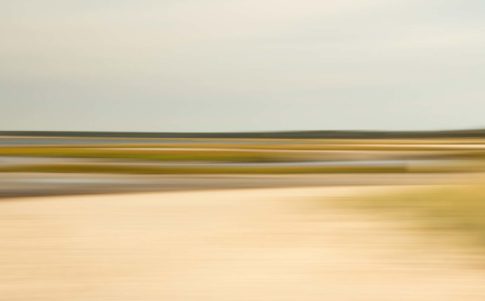 cape cod salt marsh namskaket