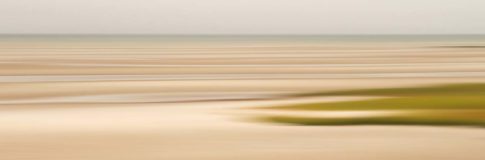 cape cod skaket beach ebb dune